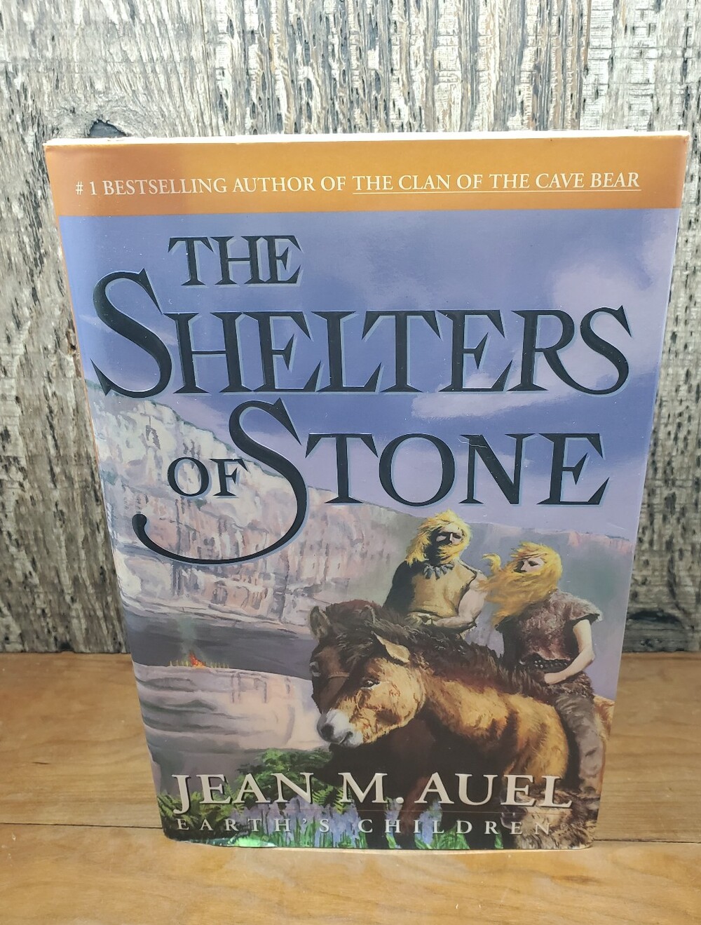 The Shelters of Stone: Earth's Children by Auel, Jean M. First Edition 2002 VTG